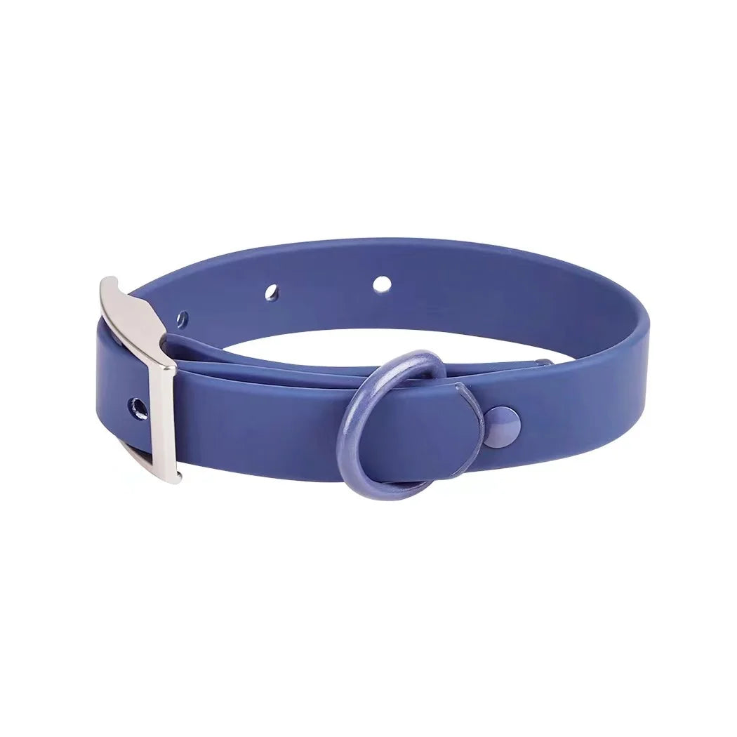 Blue dog collar with silver buckle on a white background