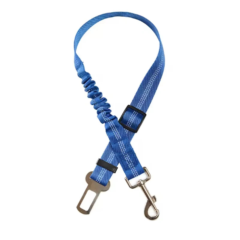 Blue dog leash with a clip on a white background