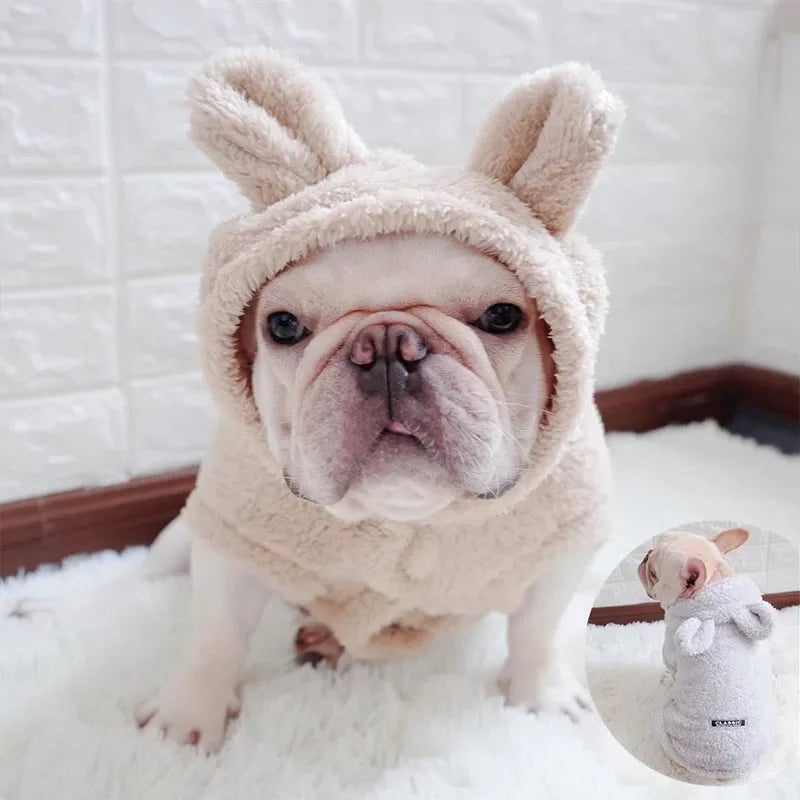 Dog wearing a fluffy hood with bunny ears on a white surface.