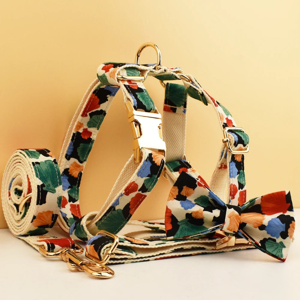 Colorful dog harness and leash set on a beige background