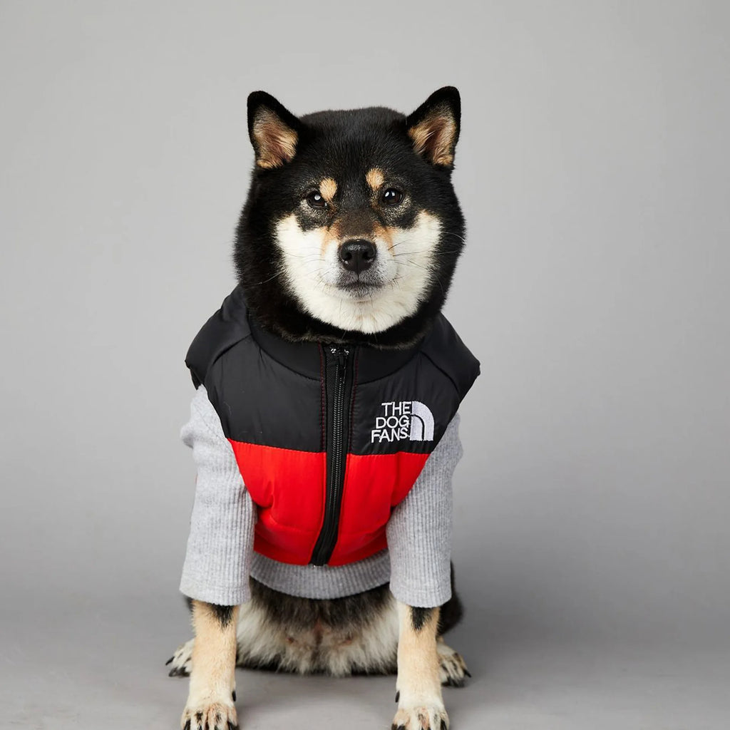 Dog wearing a black, red, and gray jacket with 'The Dog Fans' logo on a gray background