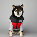 Dog wearing a black, red, and gray jacket with 'The Dog Fans' logo on a gray background