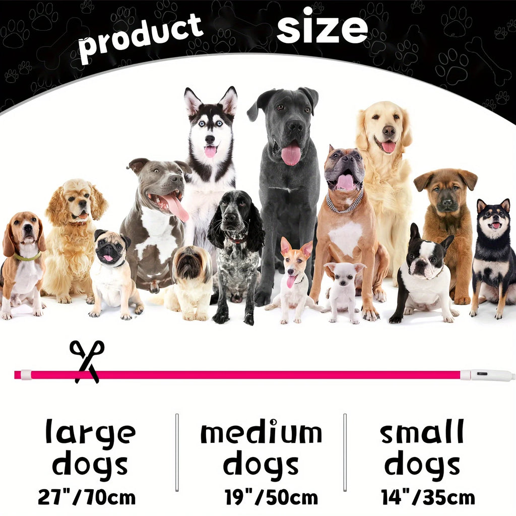 LED Light-Up Dog Collar – USB Rechargeable Anti-Lost Luminous Collar