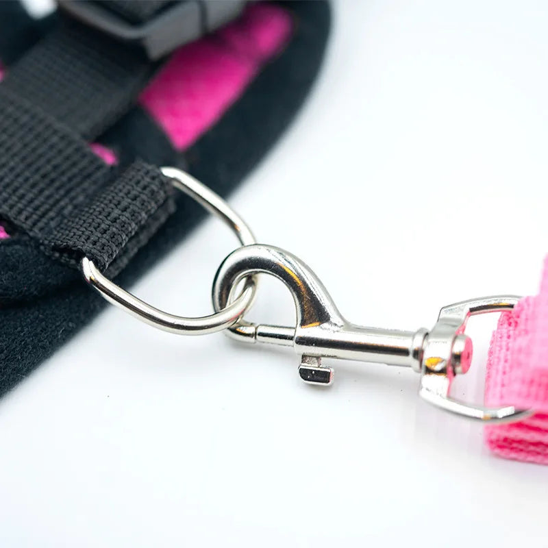 Close-up of a dog leash with a metal clasp on a white background