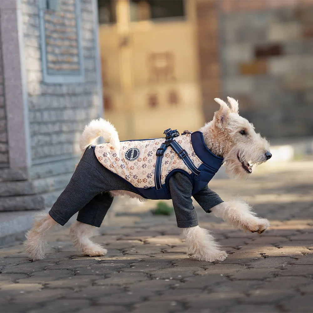 Dog wearing a floral-patterned coat walking on a cobblestone street.
