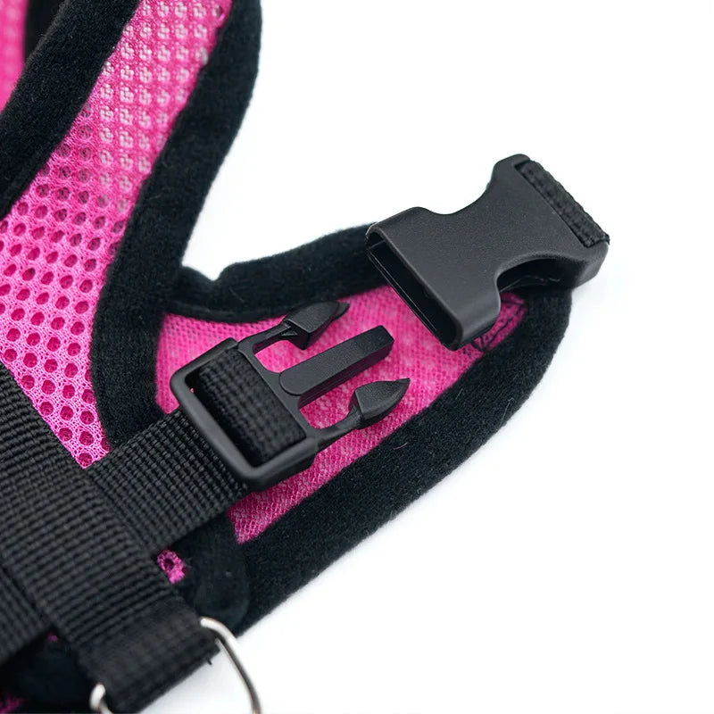 Close-up of a pink and black dog harness with a buckle on a white background