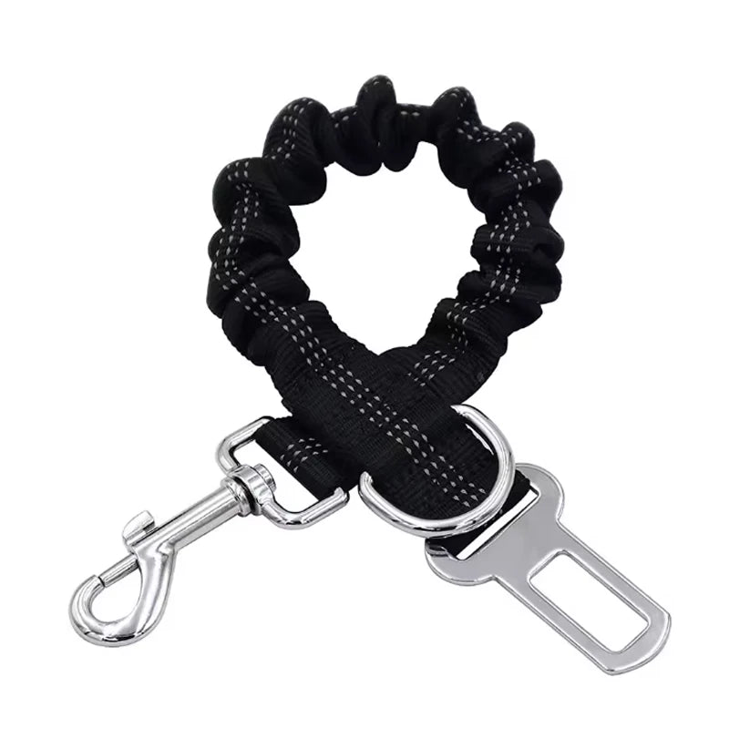 Black dog leash with metal clip and car seat belt buckle on a white background