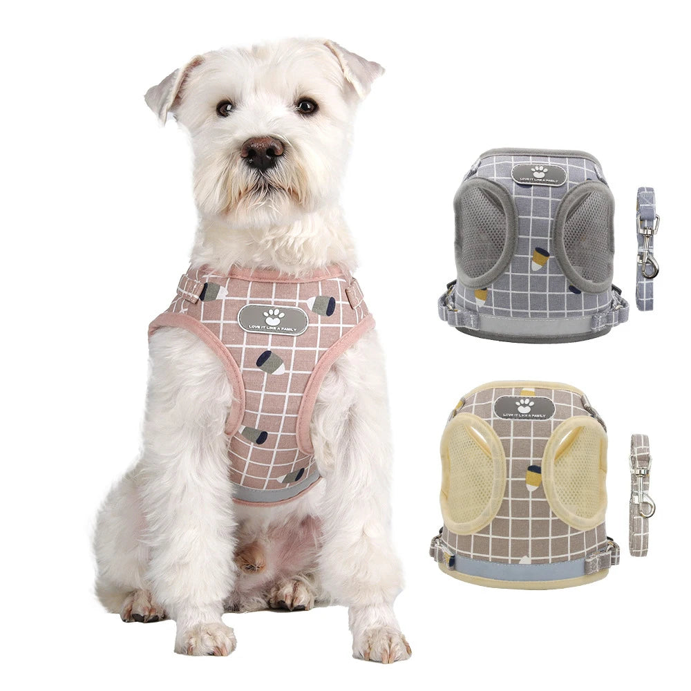 Dog wearing a checkered harness with additional harnesses displayed on a white background