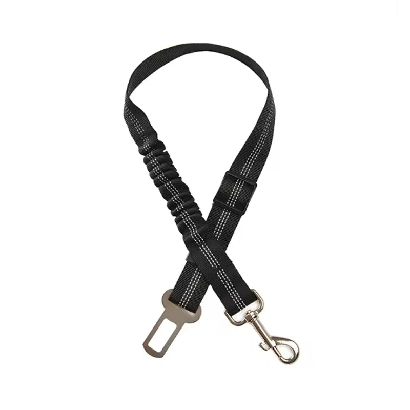 Black dog seat belt with metal clip on a white background