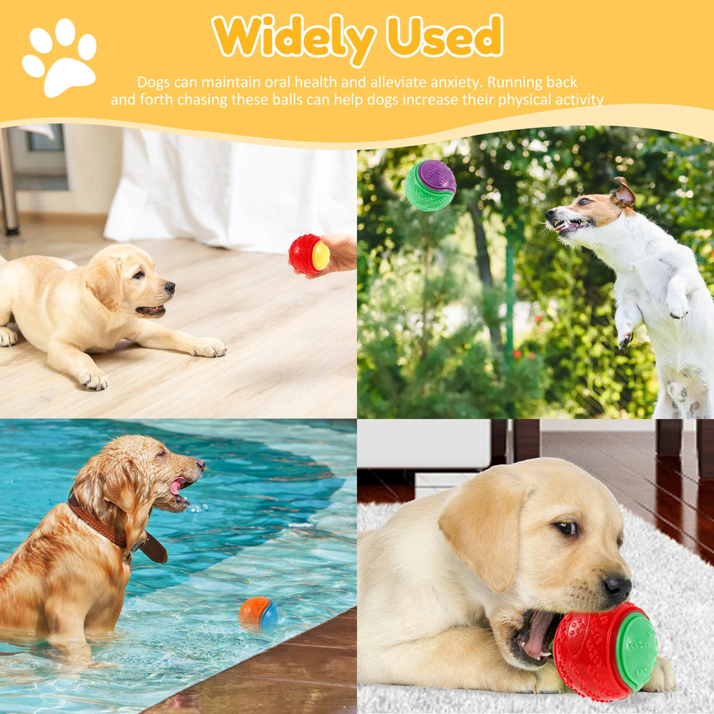 6-Pack Squeaky Dog Balls – Interactive TPR Chew Toys for Teeth Cleaning