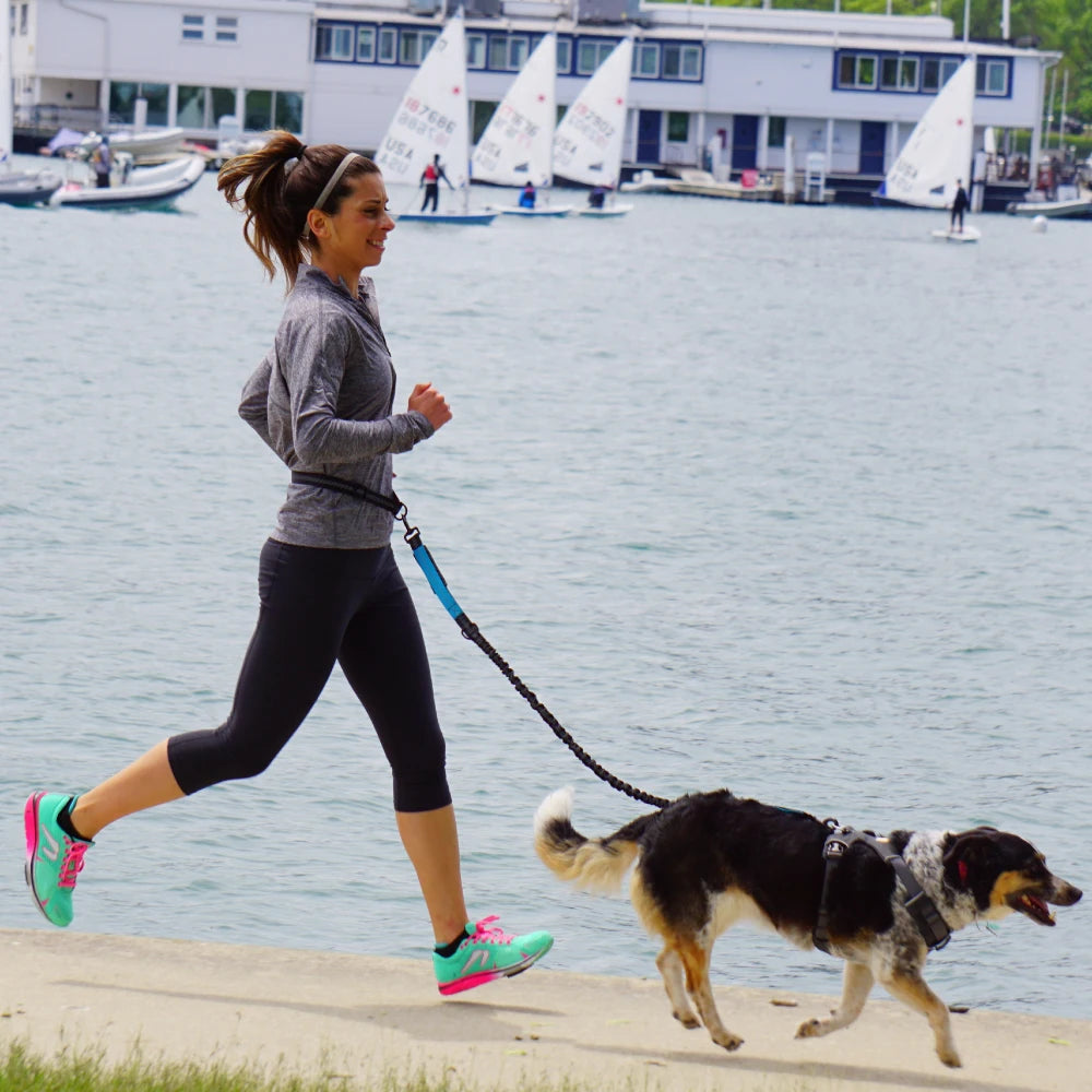 Woman jogging with a dog by a waterfront with sailboats in the background