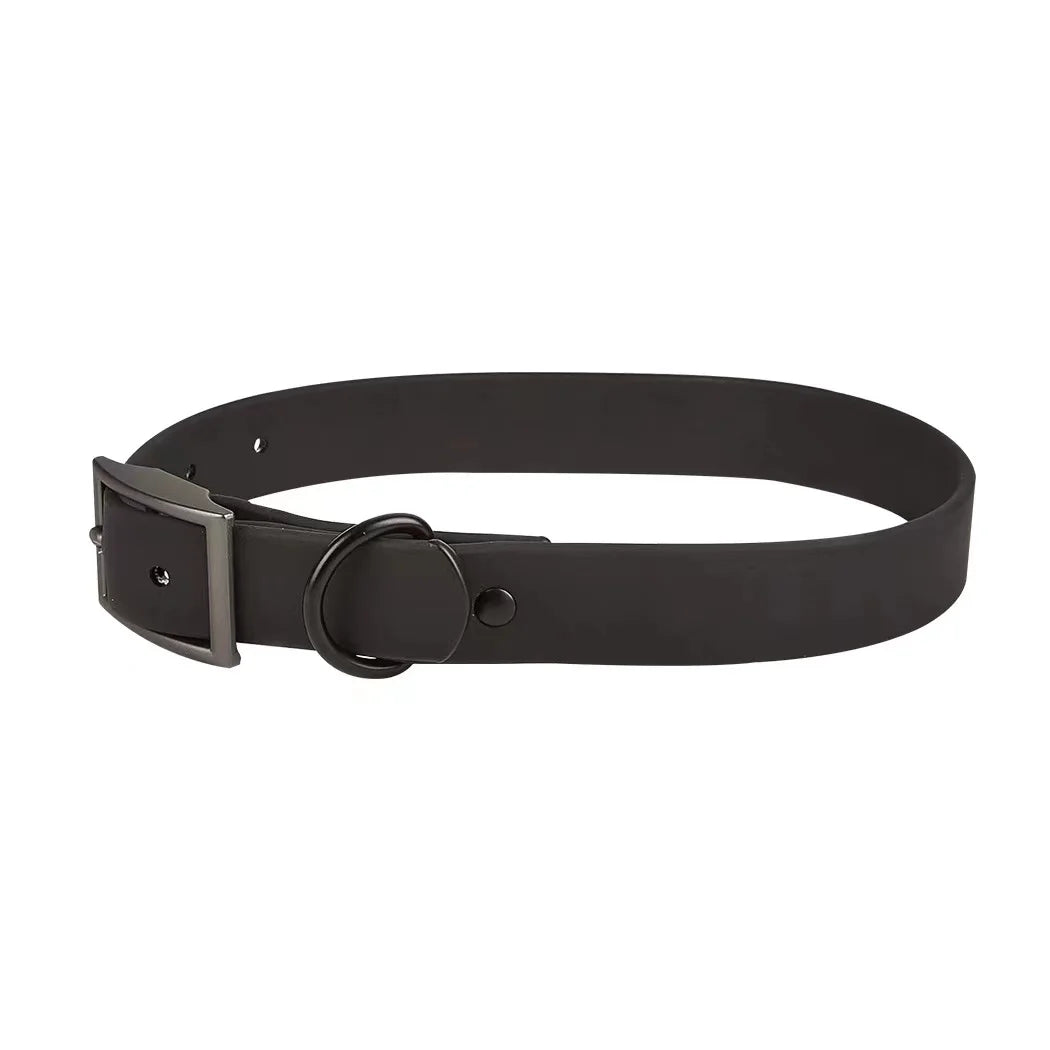 Black belt with a silver buckle on a white background