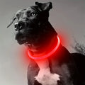 LED Light-Up Dog Collar – USB Rechargeable Anti-Lost Luminous Collar