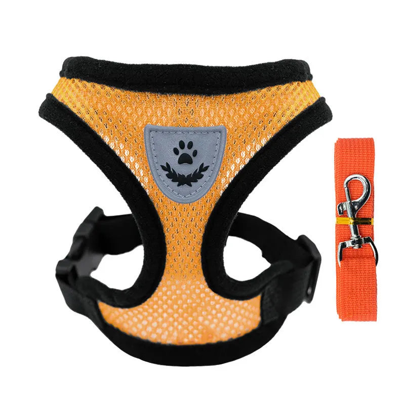 Orange dog harness with black trim and a matching leash on a white background