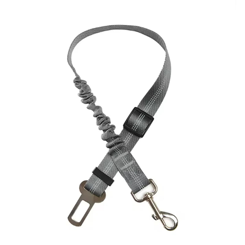 Gray dog leash with a clip on a white background