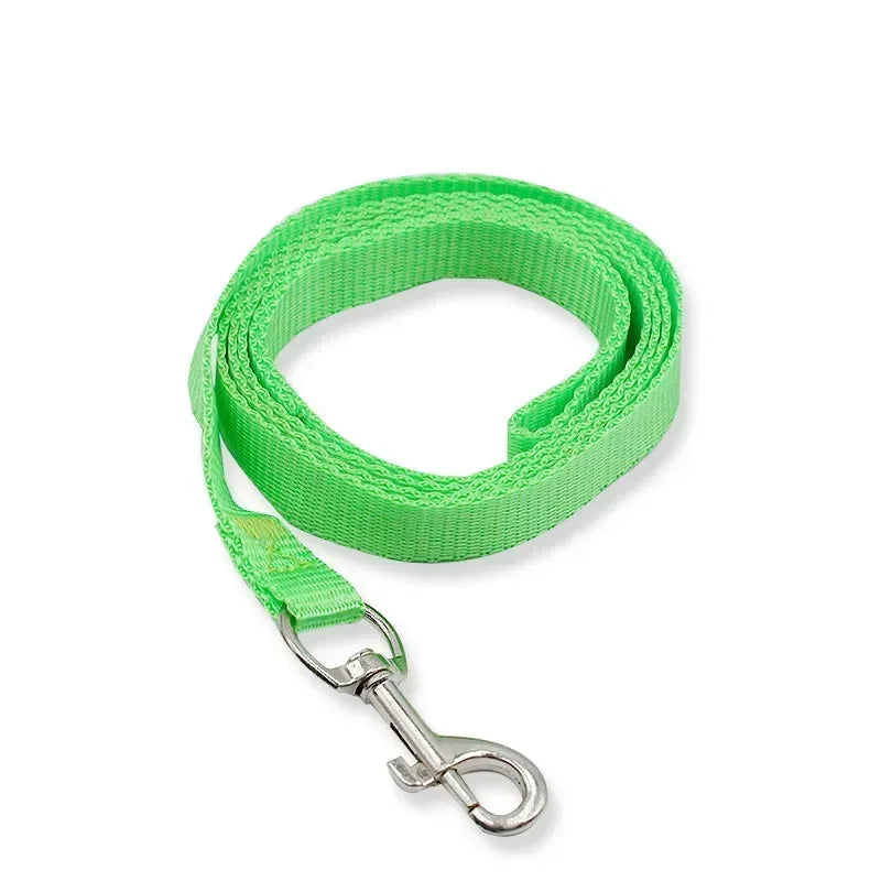 Green dog leash with a metal clip on a white background