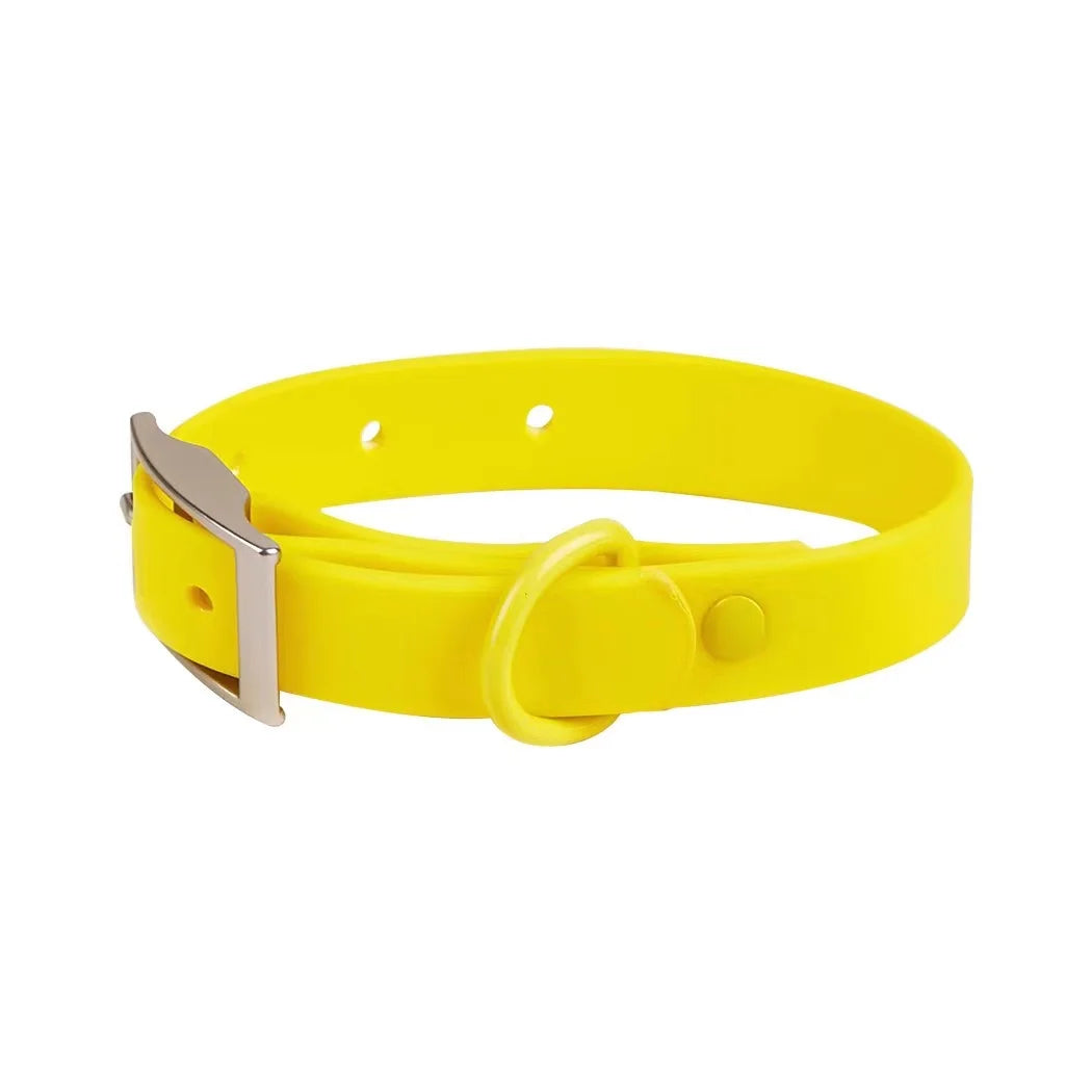 Yellow dog collar with a silver buckle on a white background