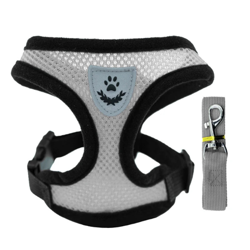 Dog harness with a leash on a white background