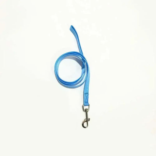 Blue dog leash with a metal clip on a white background