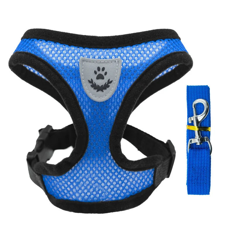 Blue dog harness with black straps and a matching leash on a white background