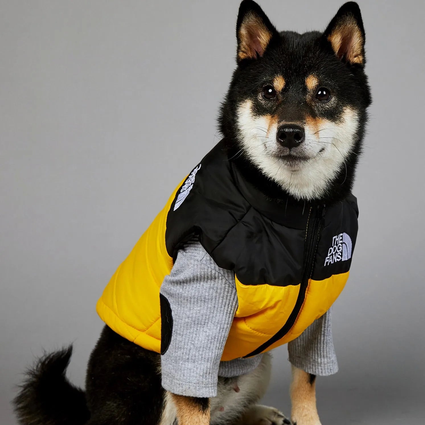 Dog wearing a yellow and black puffer vest with a brand logo on a gray background