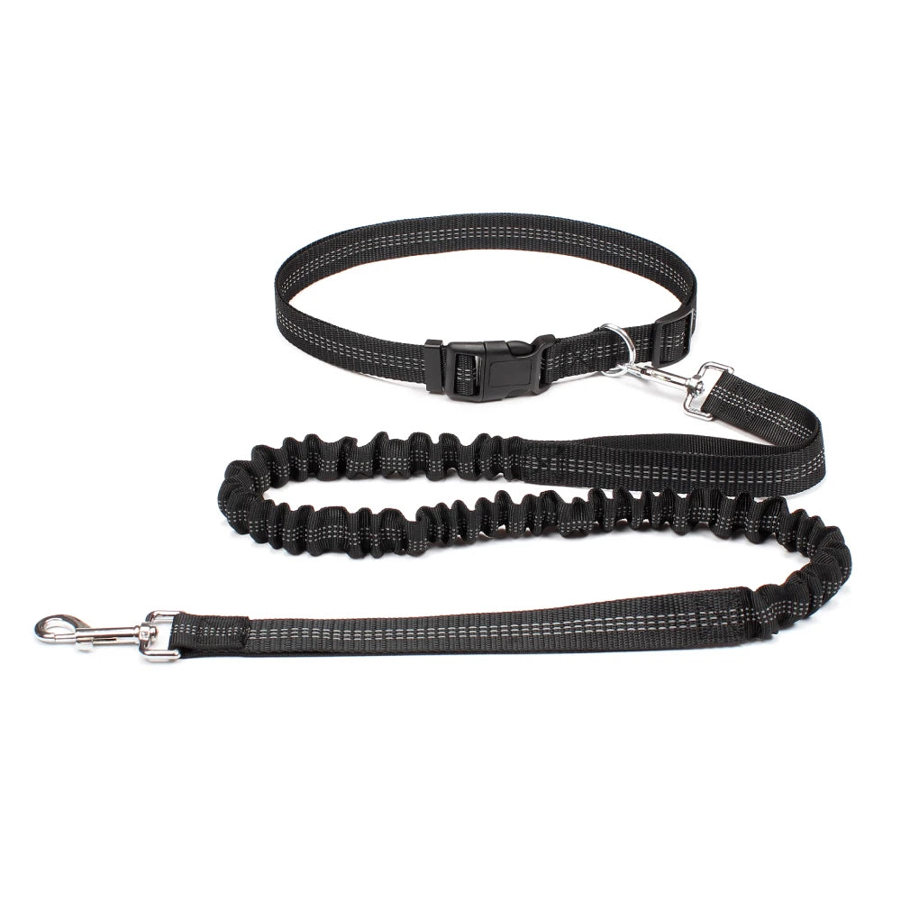 Black dog leash and collar set on a white background