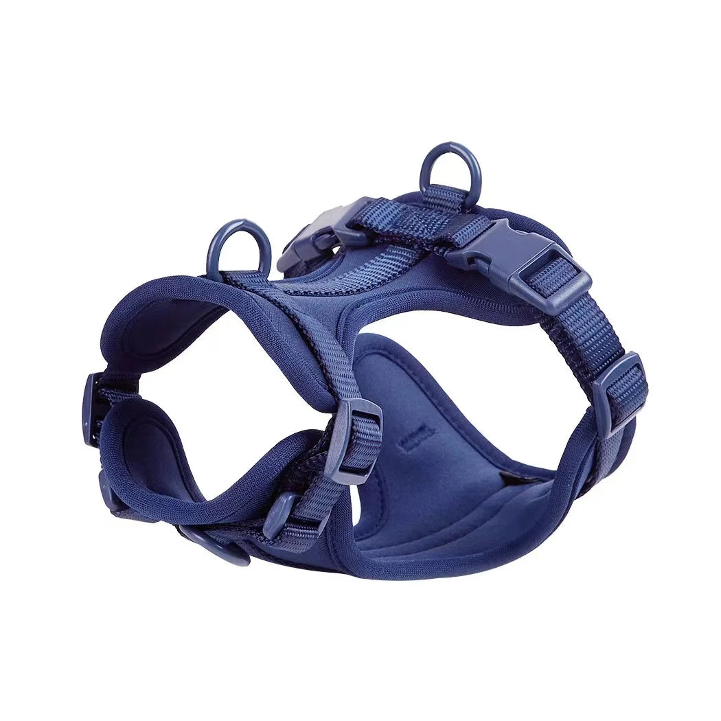 Blue dog harness on a white background
