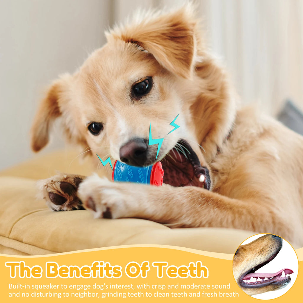 6-Pack Squeaky Dog Balls – Interactive TPR Chew Toys for Teeth Cleaning