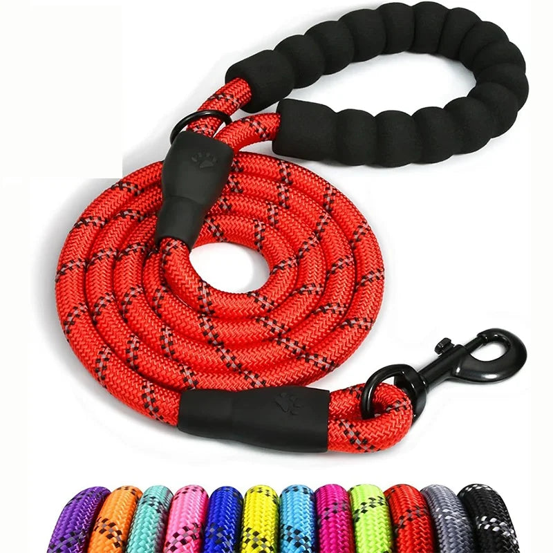 Double Strap Retractable Dog Leash