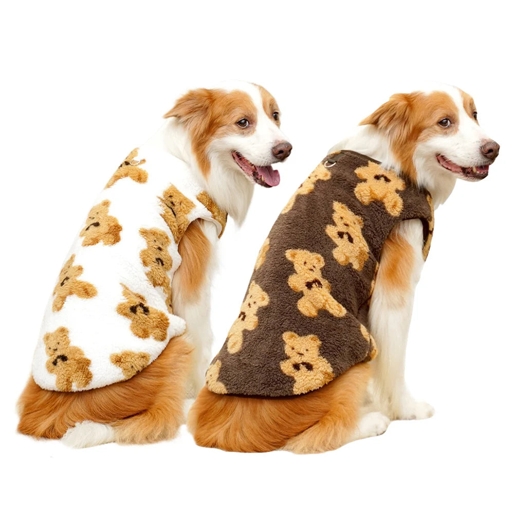 Two dogs wearing teddy bear patterned coats on a white background