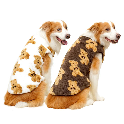 Two dogs wearing teddy bear patterned coats on a white background
