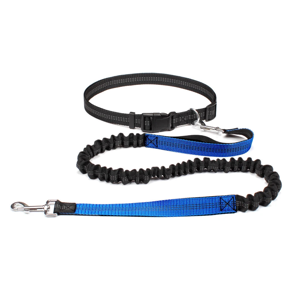 Black and blue dog leash on a white background