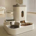 Automatic Pet Feeder & Water Fountain