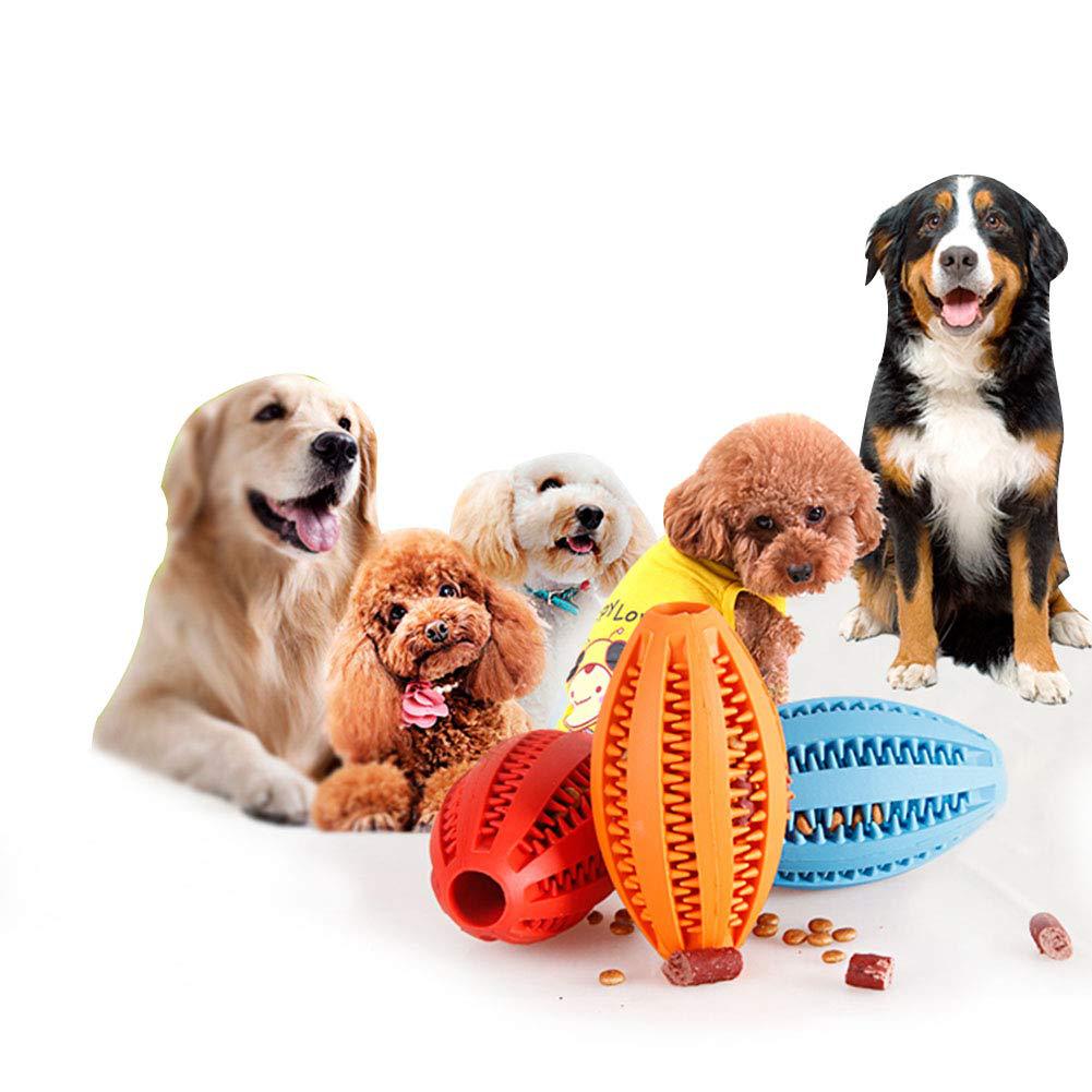 Five dogs with colorful dog toys on a white background