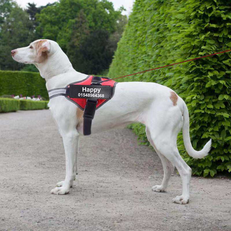 Personalized No-Pull Dog Harness – Comfort & Easy Identification - furronyou