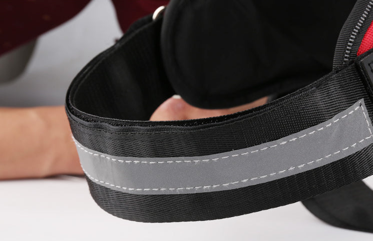 Personalized No-Pull Dog Harness – Comfort & Easy Identification - furronyou 