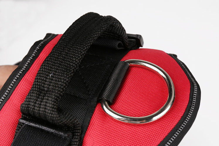 Harnais anti traction Personnalisé Chien – Confort & Identification Furronyou