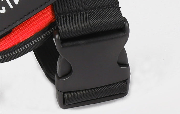 Personalized No-Pull Dog Harness – Comfort & Easy Identification - Furronyou