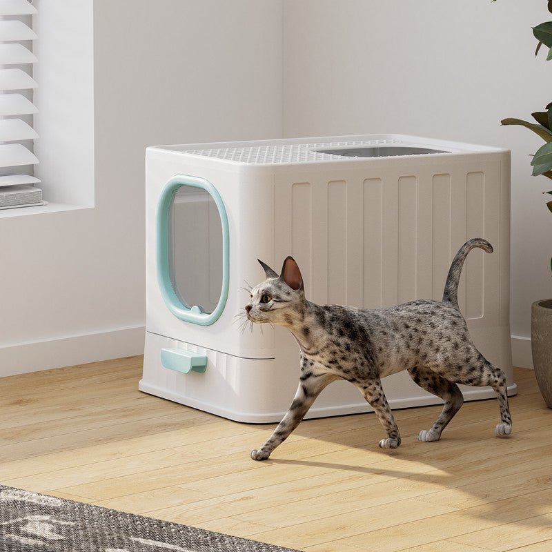 Cat walking towards a modern white and green pet litter box in a room with wooden flooring.