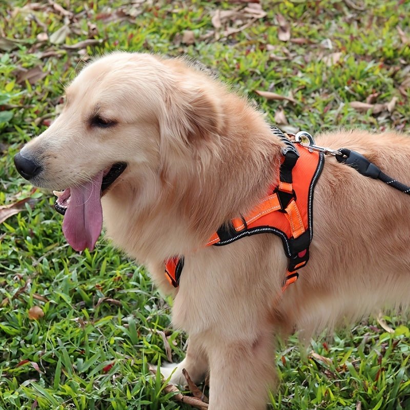 SafeStep Dog Harness — No - Pull Chest Strap for Medium & Large Dogs - FurrOnYou