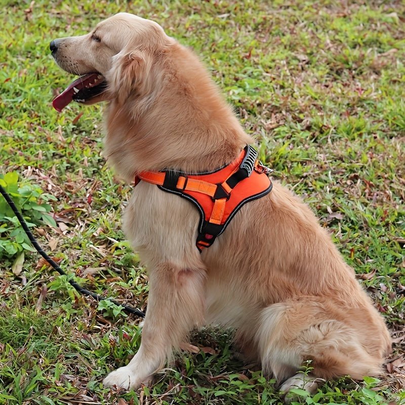 SafeStep Dog Harness — No - Pull Chest Strap for Medium & Large Dogs - FurrOnYou