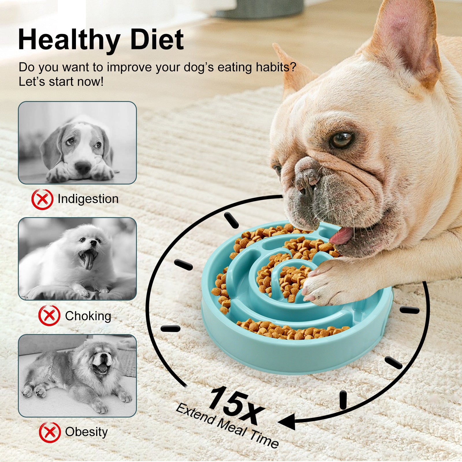 Dog eating from a slow feeder with text about improving dog's diet habits.