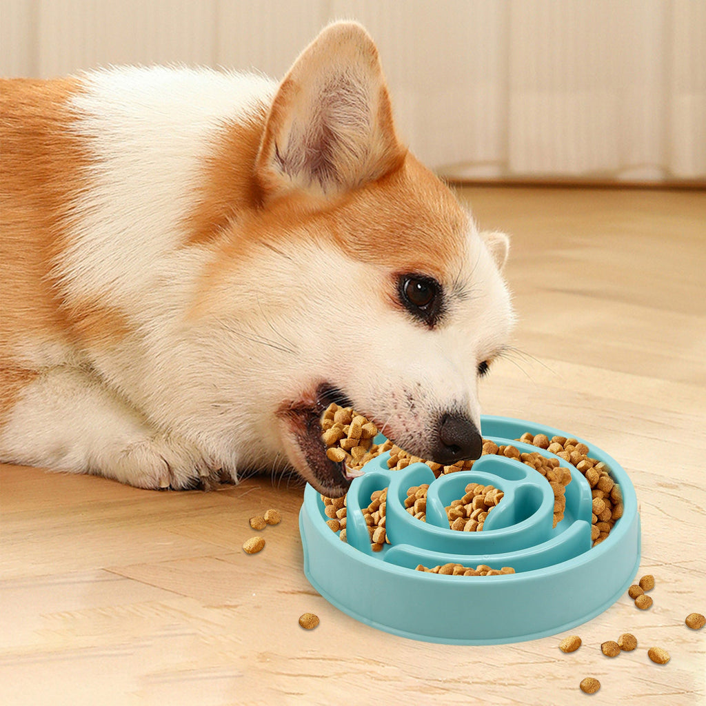 Dog eating from a blue slow feeder on a wooden floor