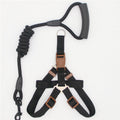 StrideEasy Dog Leash — Nylon Walking Leash in 14 Colors - FurrOnYou