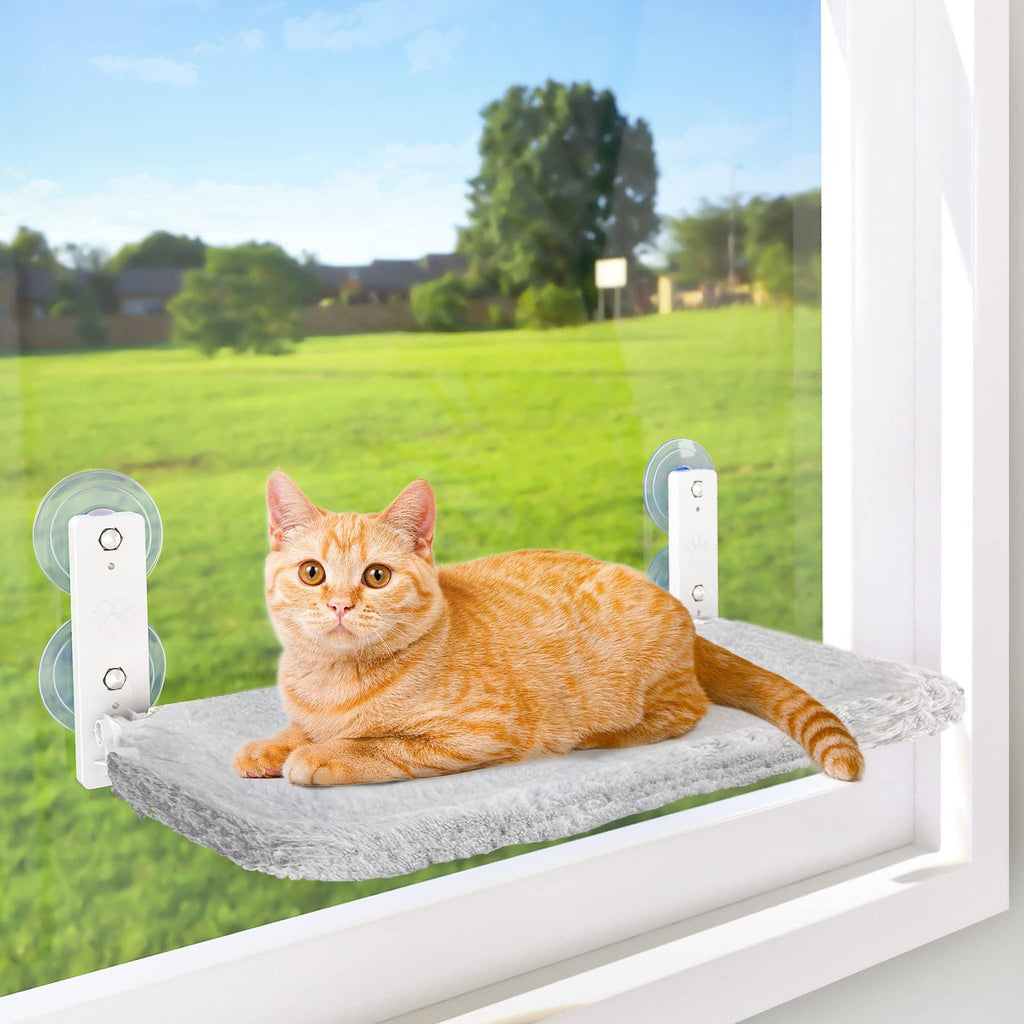 Cat sitting on a window perch with a view of greenery outside