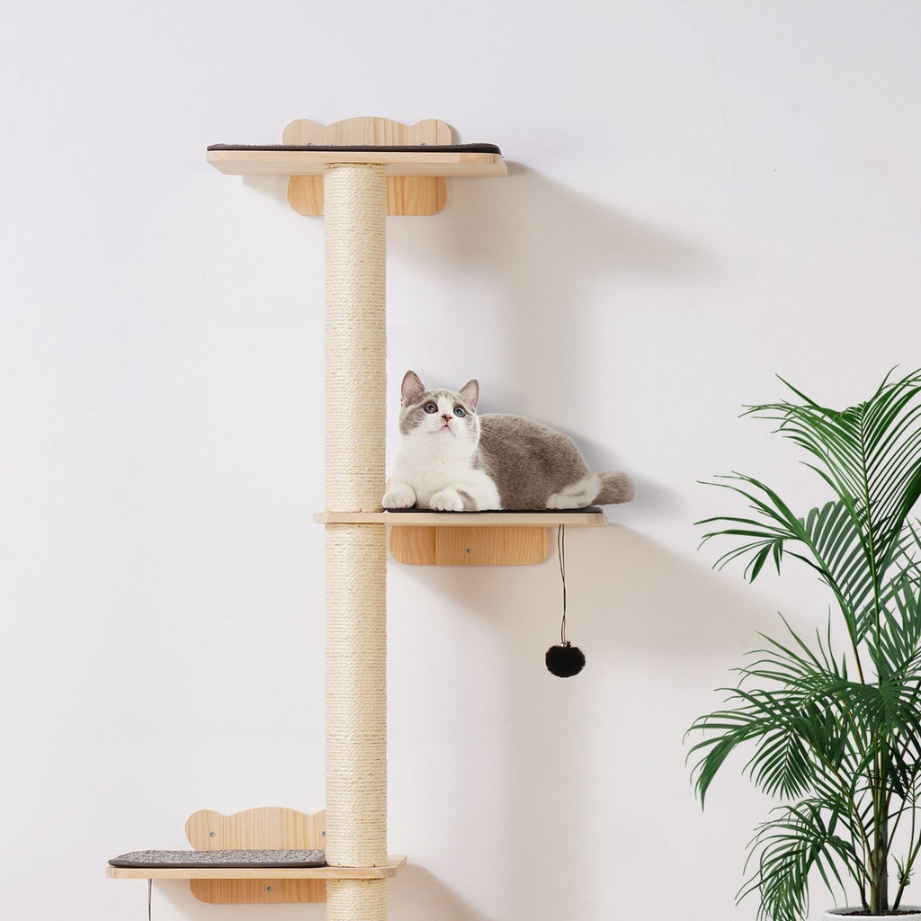 Cat sitting on a wooden cat tree with a white wall and plant in the background