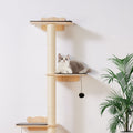 Cat sitting on a wooden cat tree with a white wall and plant in the background